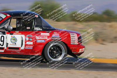 media/Oct-15-2023-Lucky Dog Racing Chuckwalla (Sun) [[f659570f60]]/4th Stint Turn 4 Tree of Life/